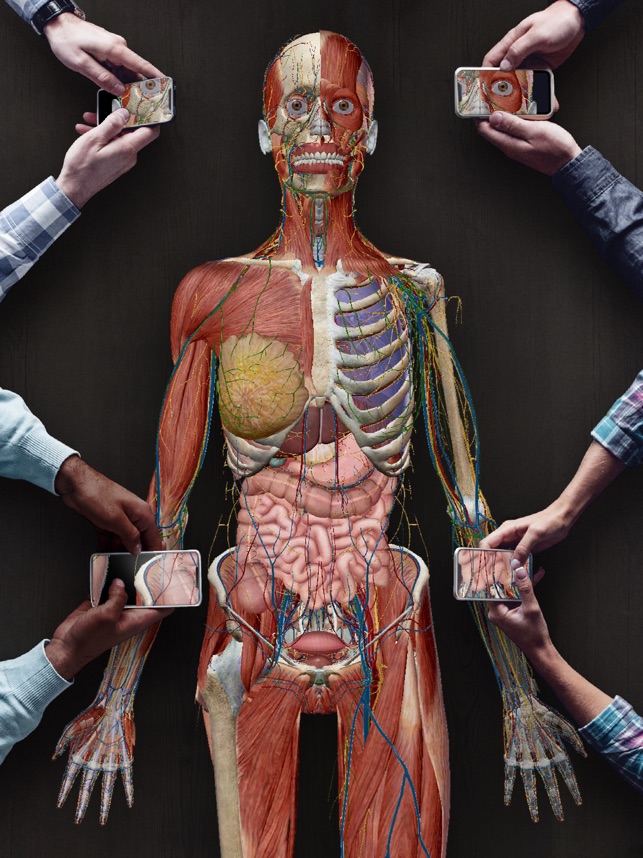 在app Store 上的 21人体解剖学图谱