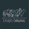 Linajes Cebuinos