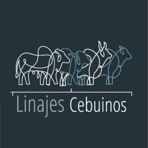 Linajes Cebuinos Icon