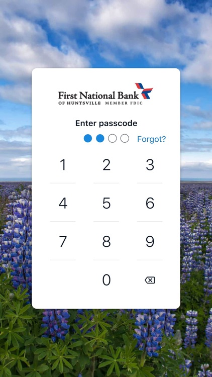 FNB Huntsville Mobile screenshot-4