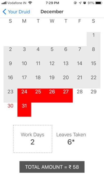 HomeDruid screenshot-5