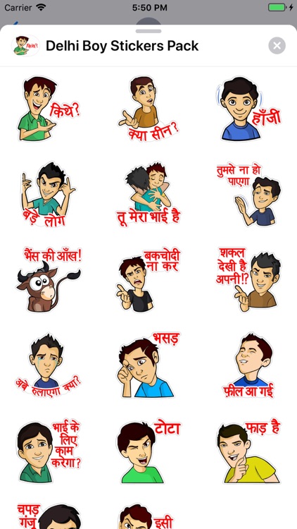 Delhi Boy Stickers Pack