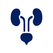 Practical Urology