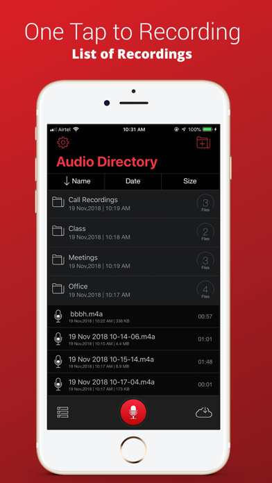 Audio Recorder Plus Pro Screenshot 1
