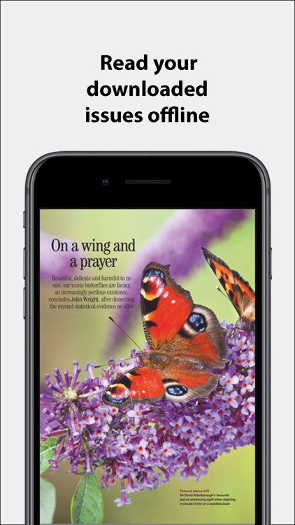 Country Life Magazine NA