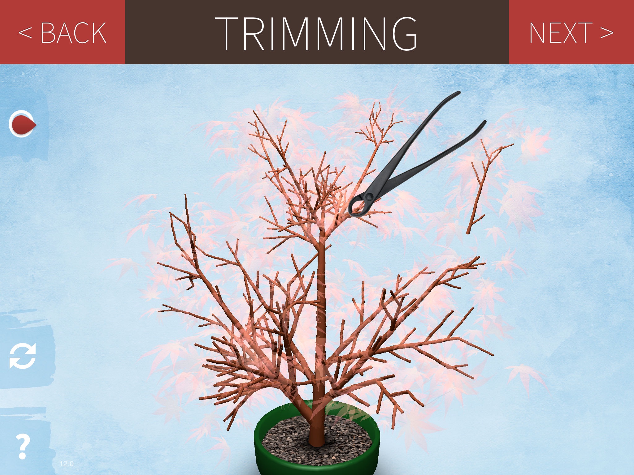 Make a Bonsai screenshot 3