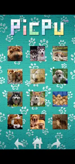 Game screenshot PicPu - Dog Picture Puzzle apk