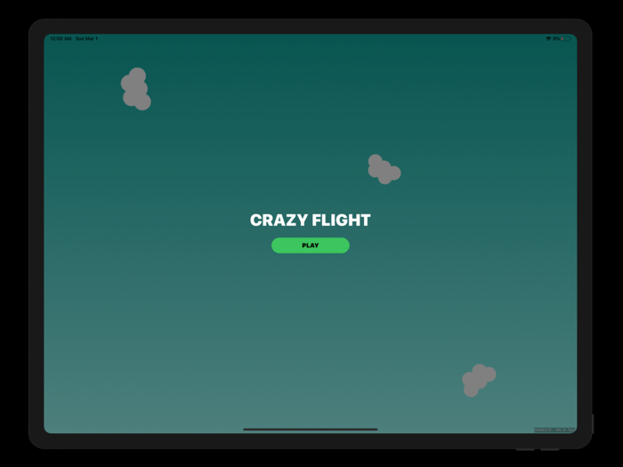 Crazy Flight Airplane Madness