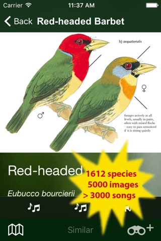 All Birds Ecuador field guide screenshot 2