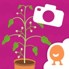 Top 32 Education Apps Like Nico & Nor Plants Journal - Best Alternatives