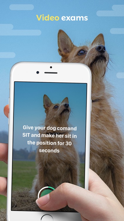 Dogo - Your Dog's Favorite App