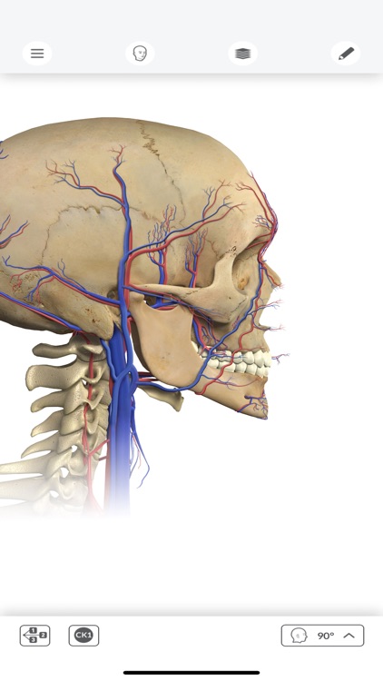 Anatomía interactiva screenshot-4