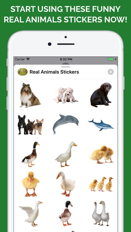 Real Animals Emoji Stickers screenshot-4