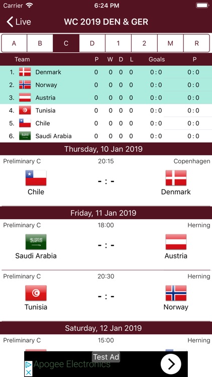 Handball WC 2019
