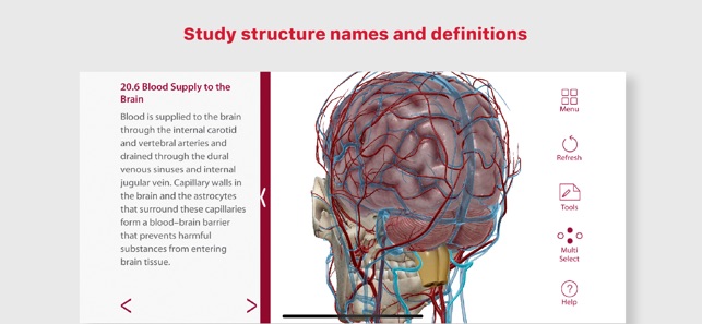 Anatomy & Physiology(圖4)-速報App