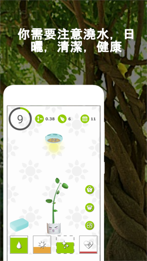 Lucky tree - plant your tree(圖1)-速報App