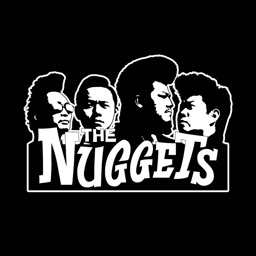 THE NUGGETS 「やってみなけりゃ」