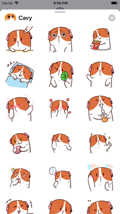 Lovely Cavy Animated Stickers screenshot 4