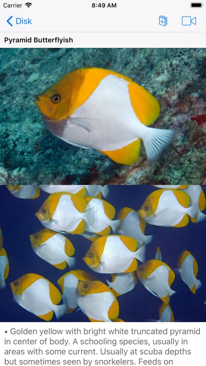 Scuba Fish Hawaii screenshot-4