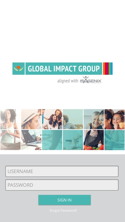 Global Impact Group