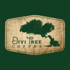 Divi Tree Coffee