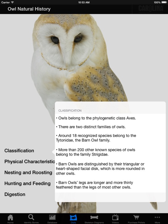 Owl Pellet Activities HD screenshot-3