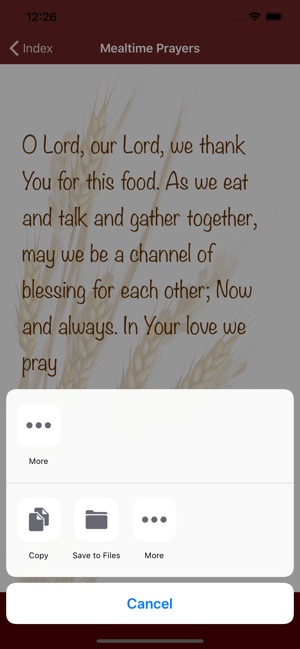 Mealtime Prayers(圖4)-速報App