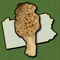 Icon Pennsylvania Mushroom Forager