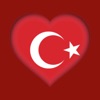 Icon Turkish Dictionary - offline