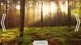 Game screenshot Relax Nature: Forest mod apk