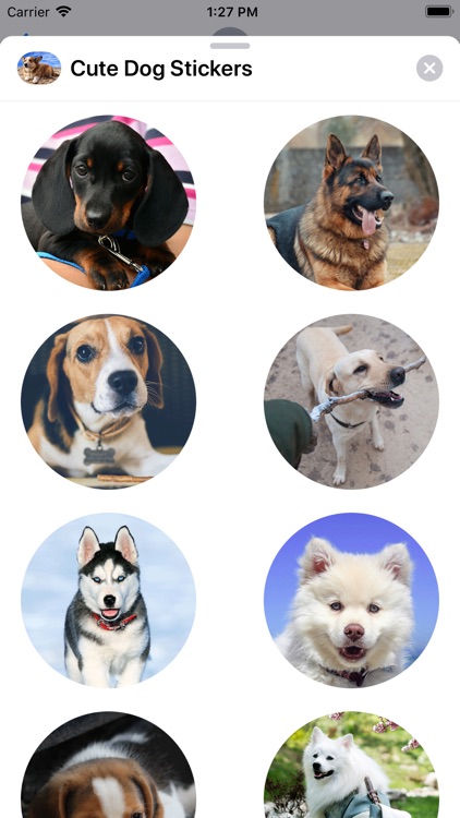 Cute Dog Sticker Set screenshot-3