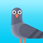 Nikolas Pigeon