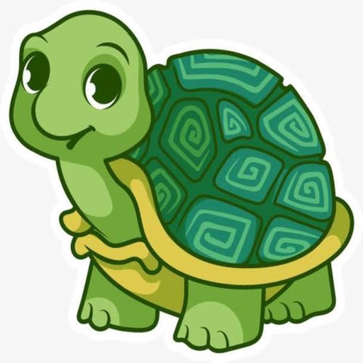 Little Turtle Life