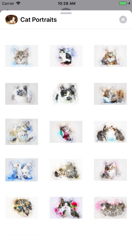 Cat Portraits screenshot-3