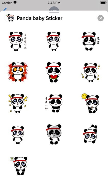Panda baby Sticker