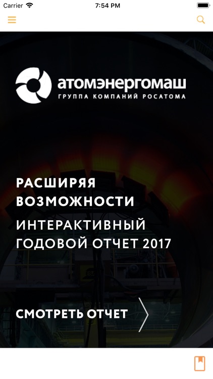 Годовой отчет АЭМ