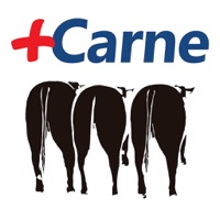 Matsuda +Carne pour PC