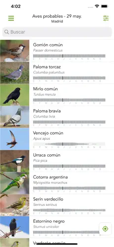 Imatge 10 Merlin Bird ID por Cornell Lab iphone