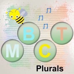 MBCT Plurals