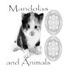 Mandalas and Animals