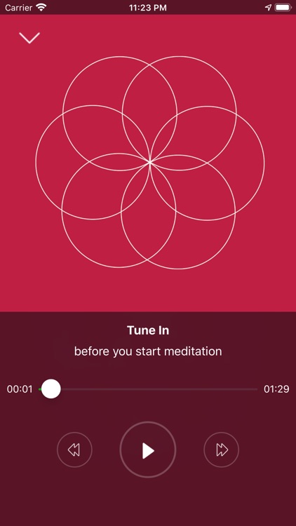 JOY meditation screenshot-4