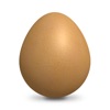 Like the Egg