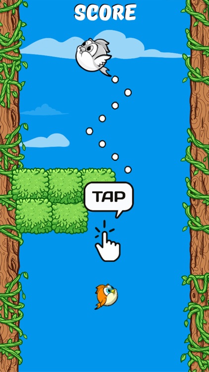 Ztap Bird