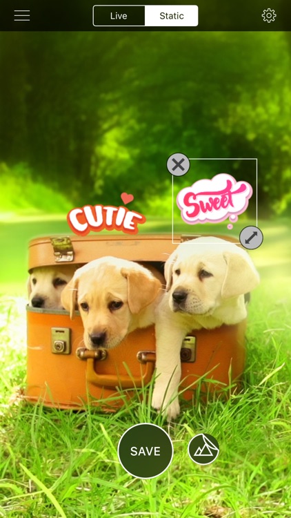 Live Wallpapers & Themes