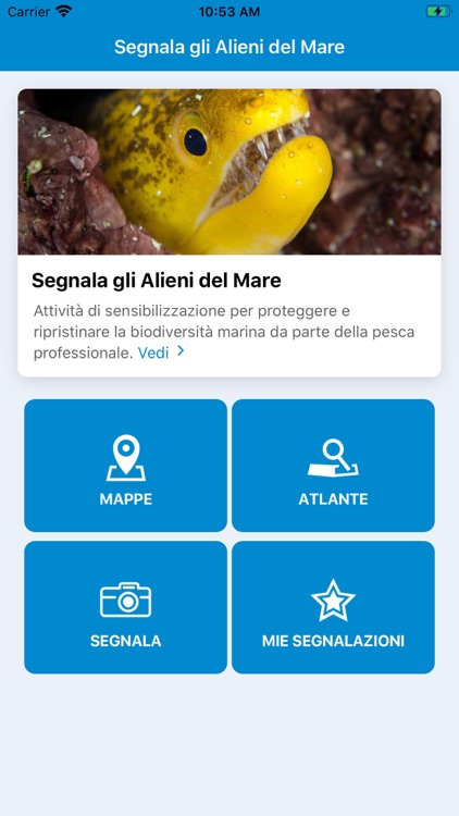 Segnala gli Alieni del Mare