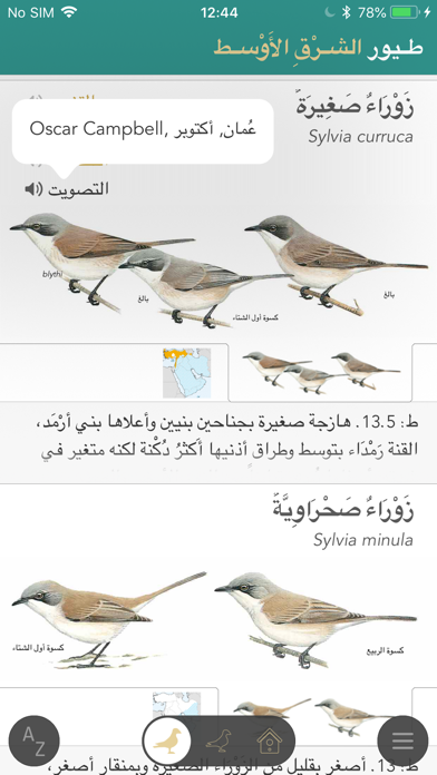 دليل الطيور في الشرق الأوسط screenshot 4