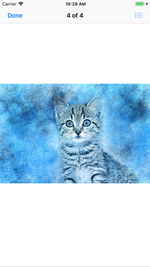 Cat Portraits(圖9)-速報App