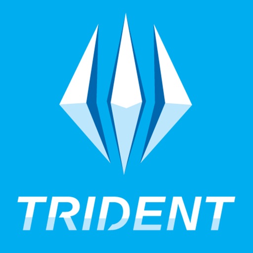 Trident Auto Care Icon