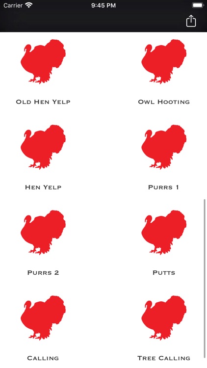Wild Turkey Calls