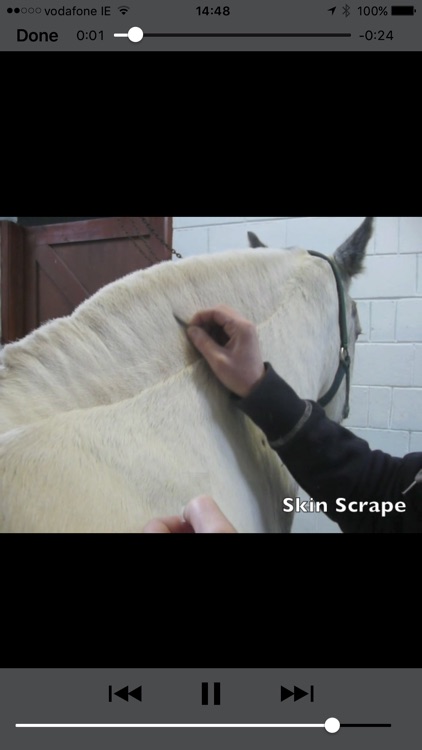 Equine Dermatology screenshot-3